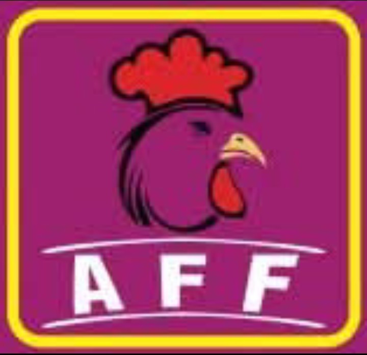 Anaya Frozen Foods Logo